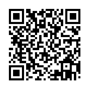 冰蓝色的眼眸静静凝视着眼前炸毛的小狮子二维码生成
