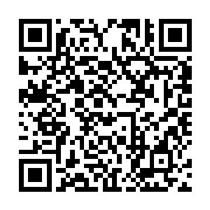 冰雪荒原上两大熊级部落在这个人面前就变得被动起来二维码生成