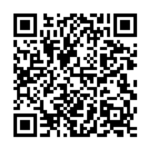 冰魄圣地也绝对不会因为自己而得罪一个强者或者一个大势力二维码生成