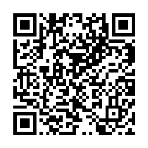 冰魄战尊对自己此刻已经是史诗战尊初期的修为感到很满意二维码生成