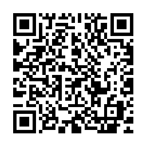 冰龙一个闪身就避开了那飞过来的四象琉璃火的火球……但同时二维码生成