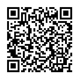 冰龙似乎是打算冲出山谷秘地来追杀秦方了……二维码生成