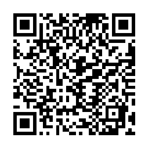 冰龙实际上并没有怎么出力……它并没有将秦方当作对手二维码生成