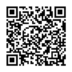 冲云殿所使用的长形匣子就和世俗界的枪械一样二维码生成