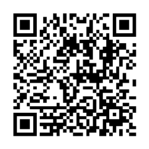 冲云殿的一众弟子已经向那些逼近的巨虫展开了攻击二维码生成