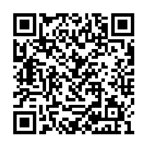 冲云殿的十多名弟子就已经使用了四五十枚珠子二维码生成