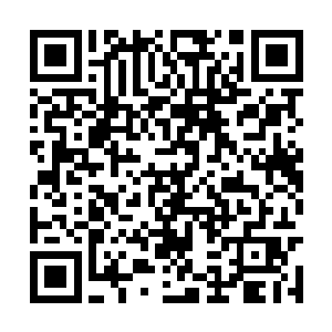 冲在一旁观望的杨开和曲华裳露出一脸无奈的神色二维码生成