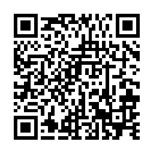 冲在最前面的一个加菲分身直接就把蟾蜍扑得飞了出去二维码生成