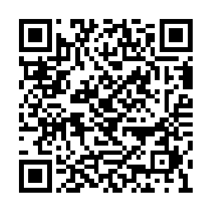 冲在最前面的两个死亡生命一下子进入了畜生道二维码生成