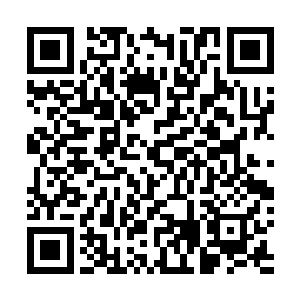 冲在最前面的二十几个九天玄仙后期巅峰就被冻成了冰雕二维码生成