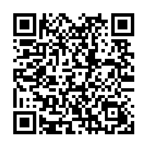 冲在最前面的死亡生命率先对杨风等人发动了攻击二维码生成