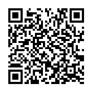 冲在最前面的陈小练就已经隐约的看见了目标队伍的尾巴……二维码生成
