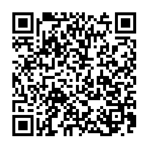 冲天的腥臭味将我的嗅觉破坏了我甚至已经闻不出血海的味道了我都麻木了二维码生成