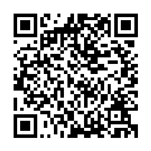 冲天的血光将原本漆黑一片的虚影映照成了一个几乎透明的存在二维码生成