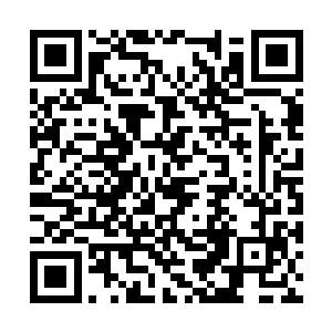 冲着母体树以前曾经派出过飞行类尸兄侦察的方向二维码生成