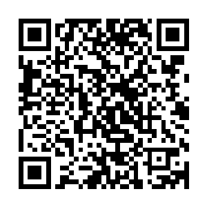 冲进去的巴克他们就在层层叠叠的大量纸包装箱中间找寻目标二维码生成