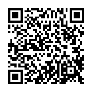 冲进房间后一直守在水俞旁边等着乌云与夭华前来的几个人二维码生成
