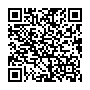 冲那一旁缩着已经没半点嚣张意味的卷毛狼够了勾手指头二维码生成