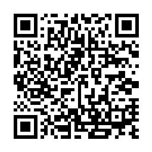 决定可以适度抬高从这里以一个高架桥的方式跨越这个垭口二维码生成