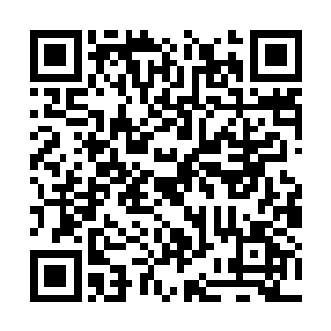 决定还是先把那颗光辉之果吃下去再来吃审判之果二维码生成