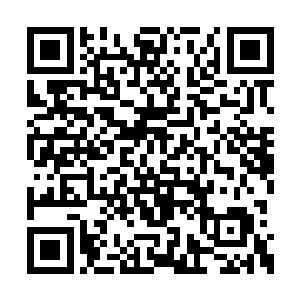 决定还是把无极锁元阵的事情和噬血妖藤的事情二维码生成