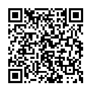 况且……他看了眼安分窝在长老身边的神将飞蓬二维码生成