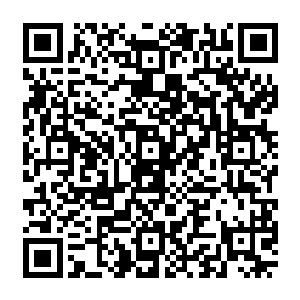 况且不管是那三十六头飞天铜尸还是邓凌祭放出来的飞天婴颅都给他们非常阴森恐怖的感觉二维码生成