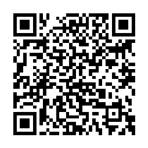 况且你不是也说了他们两个的入学手续已经办好二维码生成