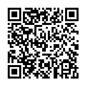 况且我也早就计划把我身体之中的真气传输给你二维码生成
