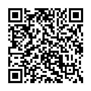 况且我们要到下一个森林或许还需要孟德的帮助二维码生成