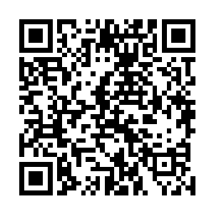 况且我认为三枪建设的主要精力还是应该放在建筑行业上二维码生成