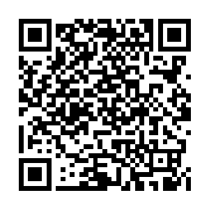 冷七不知道被他家塞到哪个犄角旮旯里修炼去了二维码生成