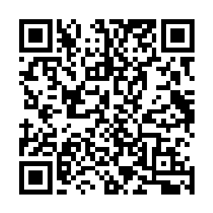 冷七少又何必明知故问呢抓人的条例律法里可是明文规定的二维码生成