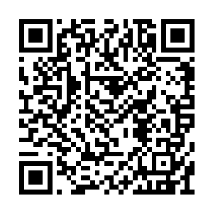 冷七少恨不得一拳头砸过去将他脸上的笑容砸烂二维码生成