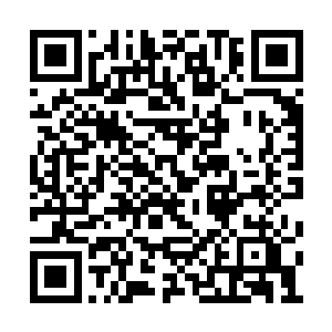 冷冷的扫视了一眼那些正在背负重物的广南厢军二维码生成