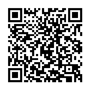冷天佑看到这些怪物身上有大量的触角开始朝着周围飞舞了起来二维码生成