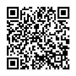 冷寒烟冰冷的眸子像是看傻子似的瞥了两人一眼二维码生成