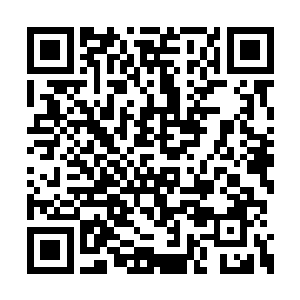 冷寒烟带着戏谑的笑意扫了一眼一脸无奈的墨玄二维码生成