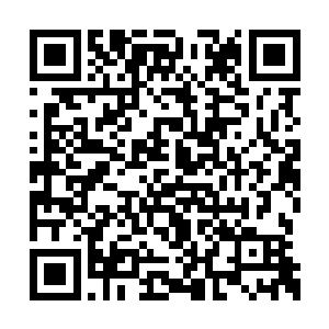 冷小邪特意安排了船去将他从疗养院那边接过来二维码生成