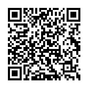 冷小野所在的凯迪拉克车上的司机忙着踩下油门二维码生成