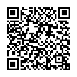 冷昶睿有点无措的看着面前这个眼睛澄亮澄亮看着他的小女孩二维码生成