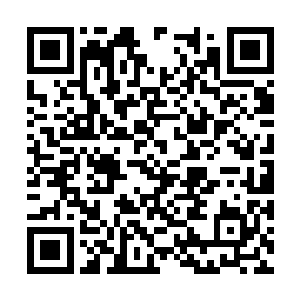 冷清贞和那个星域宗仙帝之间的恩怨他自然是清楚二维码生成