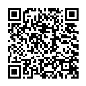 冷漠地注视着那一圈铁疙瘩一遍又一遍地从黑龙身上碾压过去二维码生成