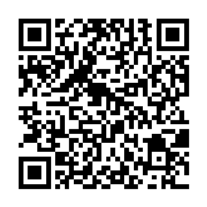 冷然看着陷在自己召唤的风力场中不住挣扎的霍君白二维码生成