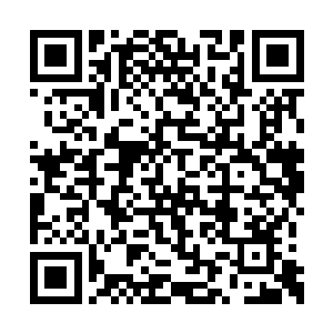 冷皓宇愣了一愣回过神来朝着冷擎宇的背影吼道二维码生成
