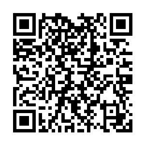 冷轩则随同另外一名妖元宫成员来到了宫殿的后院二维码生成