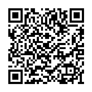 冷轩发现自己体内的真气再度达到了一个饱和度二维码生成