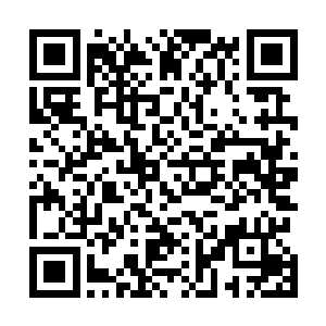 冷轩强忍着将身体内所有受损的经脉全部修复重生了一遍二维码生成