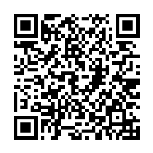 冷轩早已将李梦婕还有凌雪鹫这两妞当成了自己的朋友二维码生成