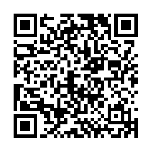 冷轩此刻虽然控制着火焰对那年轻男子在进行折磨二维码生成